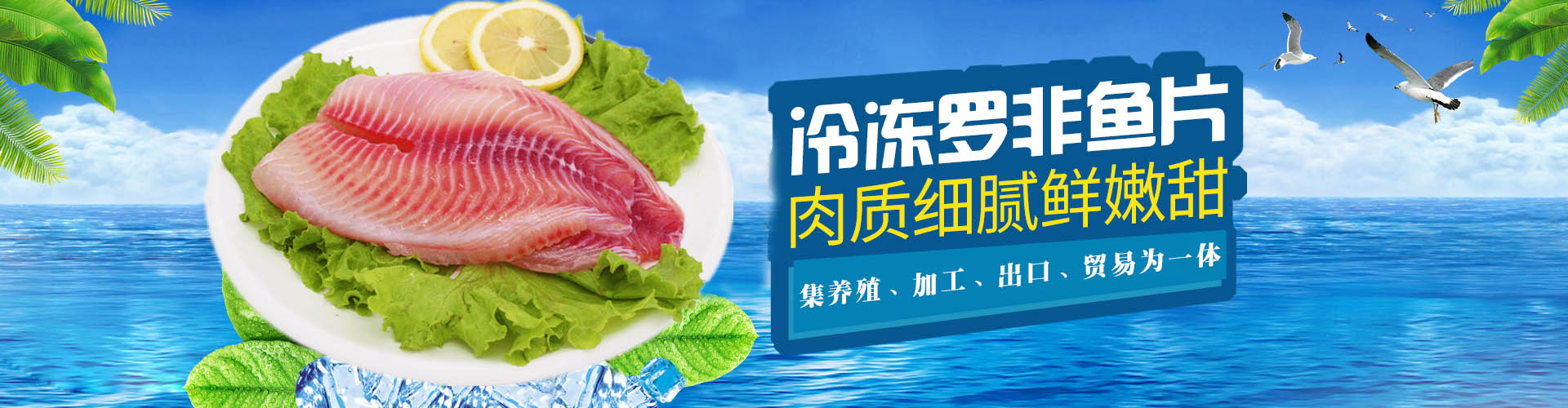 乐竞官网